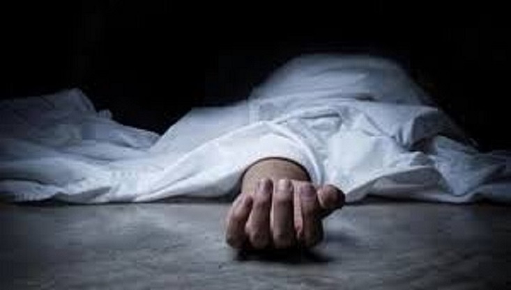 মেহেরপুরে পাখি ভ্যানে ওড়না পেচিয়ে গৃহবধূর মৃত্যু