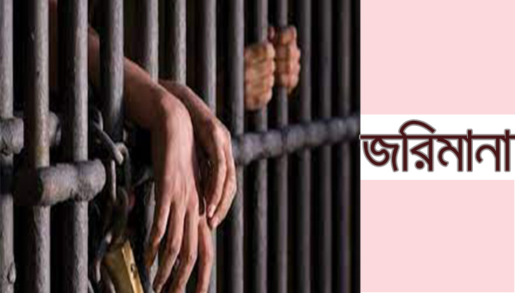 মুজিবনগর গ্রামীণ ব্যাংকের সাবেক ৩ কর্মকর্তার জেল-জরিমানা