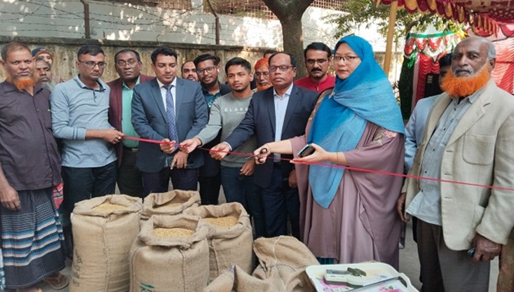মেহেরপুরে সরকারি ভাবে ধান চাল ক্রয়ের উদ্বোধন