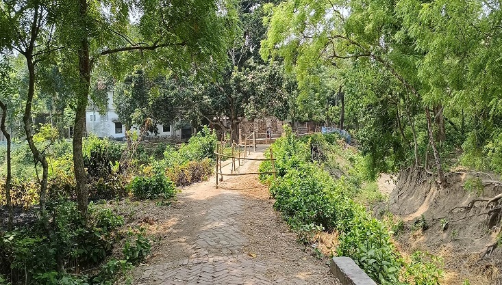 রাস্তায় বেড়া দিয়ে গাছ রোপন গাংনীর সহড়াতলায় ৩০ পরিবার জিম্মি