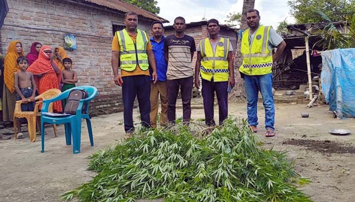 গাংনীতে ৩৩টি গাঁজা গাছসহ যুবক আটক