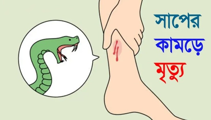 গাংনীতে সাপের কামড়ে শিক্ষার্থীর মৃত্যু