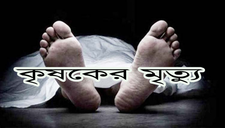 গাংনীতে হৃদরোগে আক্রান্ত হয়ে কৃষকের মৃত্যু