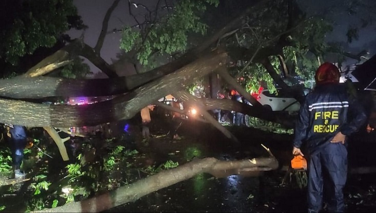 ঘূর্ণিঝড় সিত্রাং: দেশের বিভিন্ন স্থানে ১০ জনের মৃত্যু