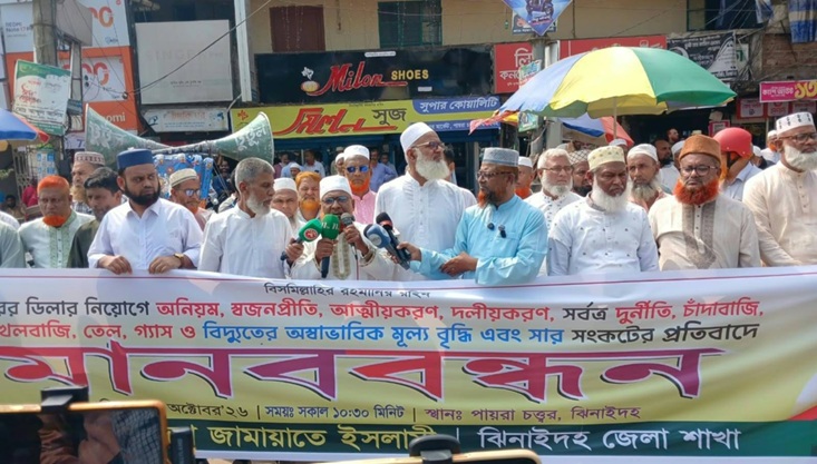 ঝিনাইদহ জেলা প্রশাসক জেলা বিএনপির উপদেষ্টা হিসাবে কাজ করছে-আব্দুল হাই