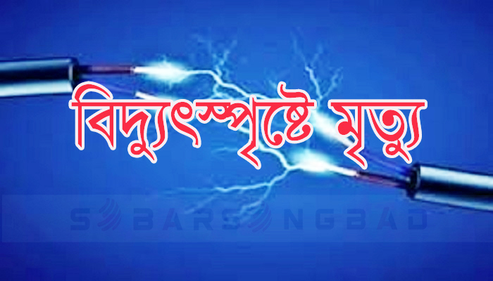 মেহেরপুরের বারাদীতে বিদ্যুৎস্পৃষ্ট হয়ে গৃহবধূর মৃত্যু