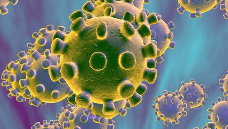 দেশে করোনার নতুন ভ্যারিয়েন্ট জেএন.১ শনাক্ত