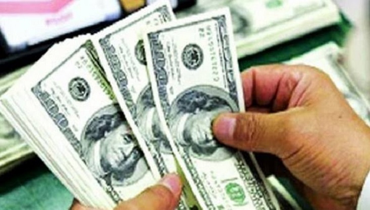 রেমিট্যান্সে জোয়ার, জানুয়ারিতে এলো ১৯৫ কোটি ডলার