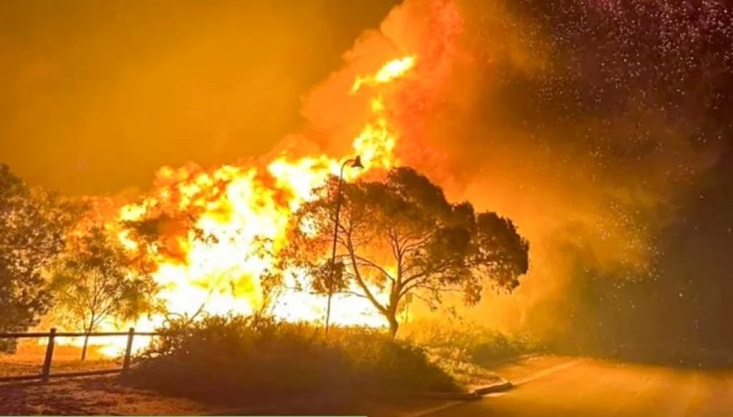 বসন্তের বিরল দাবানলে পুড়ছে অস্ট্রেলিয়া