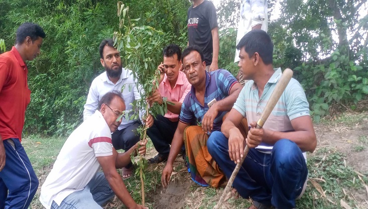গাংনীতে বৃক্ষরোপন কর্মসূচির উদ্বোধন