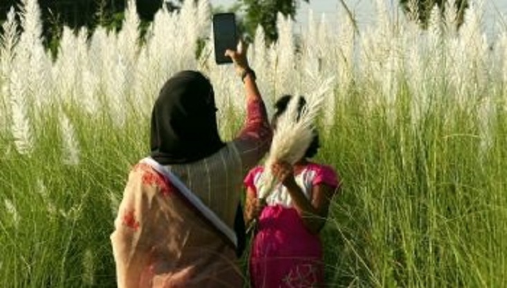 কাশ ফুলের শুভ্রতায় প্রকৃতি সেজেছে ঋতুররানী শরৎ-এ