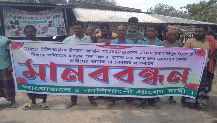 মেহেরপুরে তামাক চাষীদের মানববন্ধন
