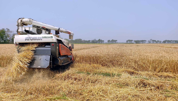 গাংনীতে হারভেস্টার মেশিনের ধাক্কায় কৃষকের মৃত্যু