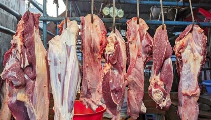 গরুর মাংস বিক্রি হবে ৬০০ টাকা কেজি দরে