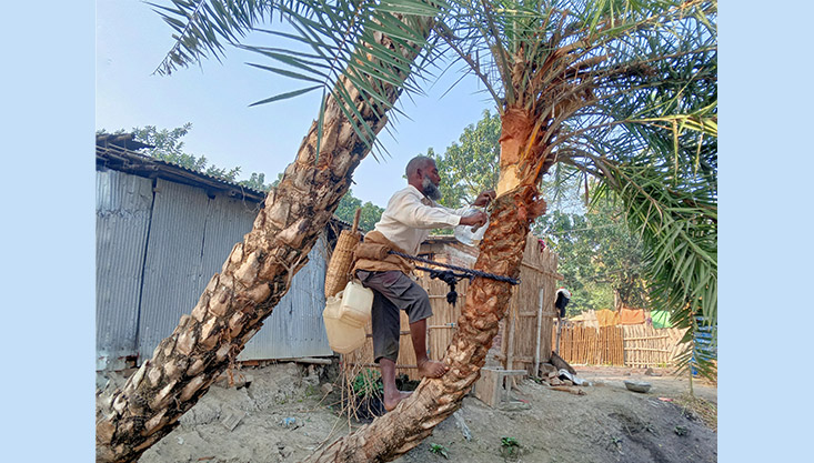 মেহেরপুরে হারাতে বসেছে খেঁজুর রসের ঐতিহ্য