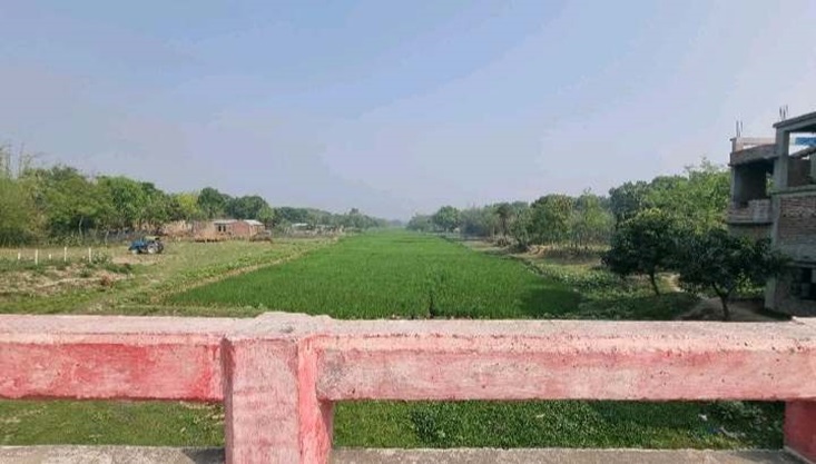 গাংনী তেঁতুলবাড়ীয়া ইউপি চেয়ারম্যানের বিরুদ্ধে সরকারী খাল দখলের অভিযোগ