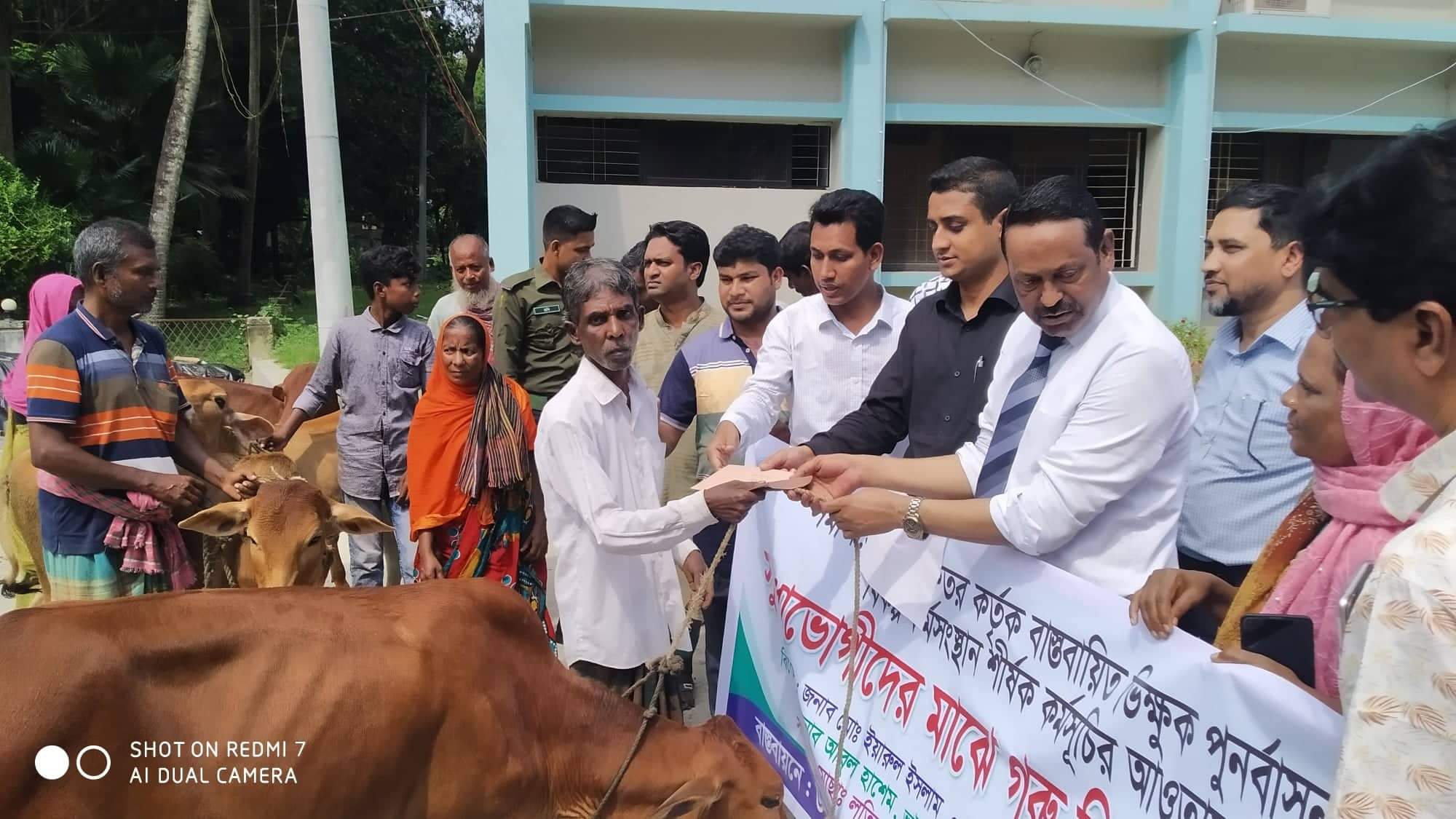 মেহেরপুর সমাজ সেবার গরু বিতরণ