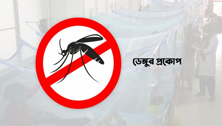 ডেঙ্গুতে আরও ১১ মৃত্যু