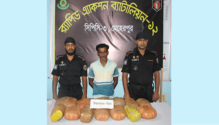 গাংনীস্থ র‌্যাবের অভিযানে সাড়ে ১৫ কেজি গাঁজাসহ আটক-১