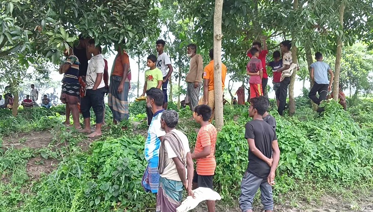 মেহেরপুরে গলায় ফাঁস দিয়ে দুজনের আত্মহত্যা