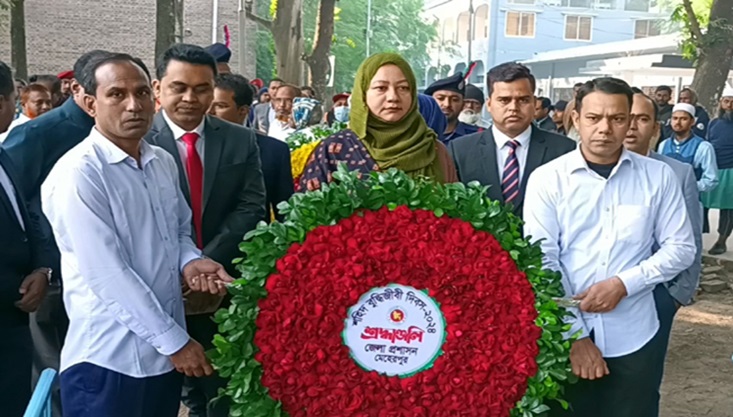 মেহেরপুরে নানা আয়োজনে শহীদ বুদ্ধিজীবী দিবস পালিত
