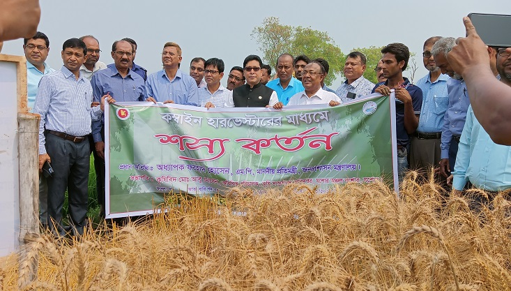 মুজিবনগরে কম্বাইন হারভেস্টারের মাধ্যমে শস্য গম কর্তনের উদ্বোধন