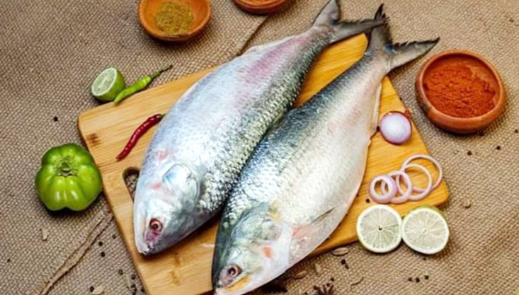 ভারতে ইলিশ রফতানির সিদ্ধান্ত