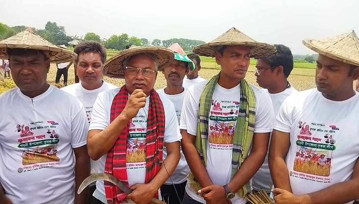 গাংনীতে কৃষকের ধানকেটে ঘরে তুলে দিলো কৃষকলীগ