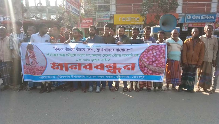 মুজিবনগরে পেঁয়াজের ন্যায্য মূল্যের দাবিতে মানববন্ধন