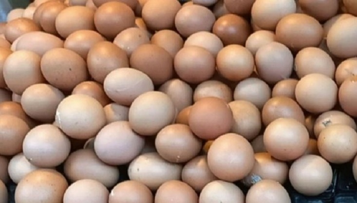 আরও ৬ কোটি পিস ডিম আমদানির অনুমতি