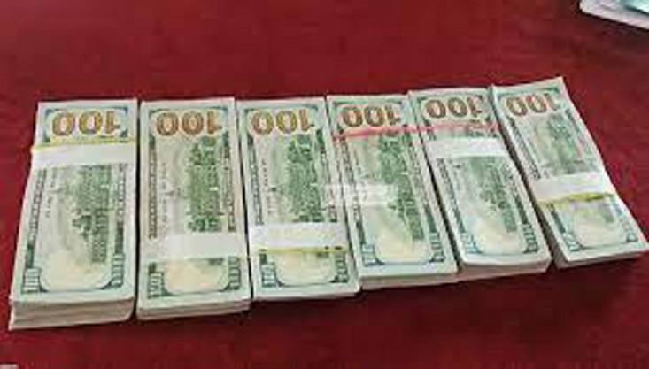 মেহেরপুর সীমান্ত থেকে ৪০ হাজার ডলার উদ্ধার