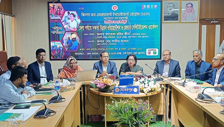 মেহেরপুরে এইচ ই আই পি শীর্ষ কর্মশালা অনুষ্ঠিত