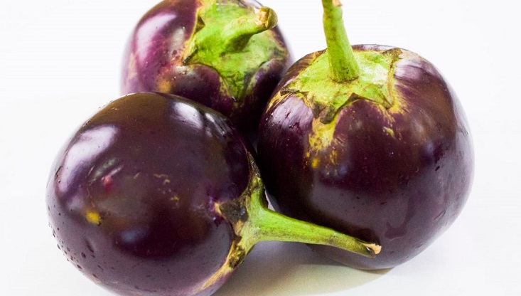 বেগুনে ক্যানসারের উপাদান পেয়েছেন বাকৃবির গবেষকরা