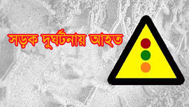 মেহেরপুরে সড়ক দুর্ঘটনায় ৪ জন আহত