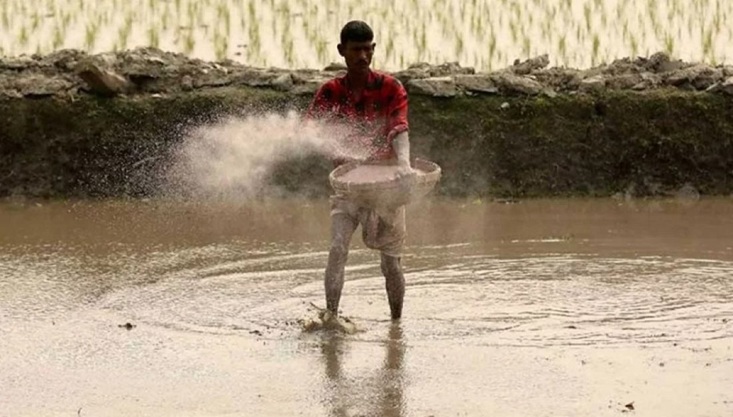 মৌসুমের প্রয়োজনীয় সার সরকারের কাছে নেই: শিল্প সচিব