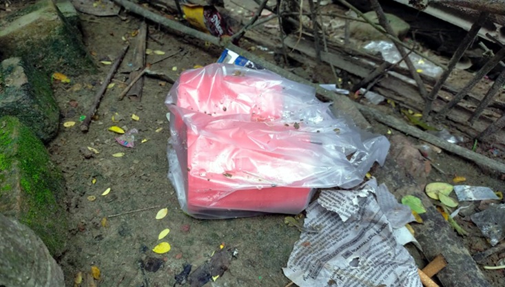 গাংনীতে দোকানের সামনে থেকে দুটি হাত বোমা উদ্ধার