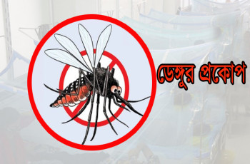 ডেঙ্গুতে মৃত্যু ৯০০ ছাড়ালো
