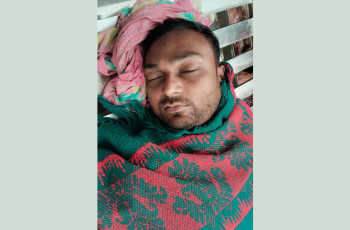 মেহেরপুরে বিদ্যুৎস্পৃষ্টে গরু ও গেরস্থের মৃত্যু