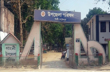 গাংনী উপজেলা পরিষদ নির্বাচনে তিন পদে ১৬ প্রার্থীর মনোনয়নপত্র দাখিল