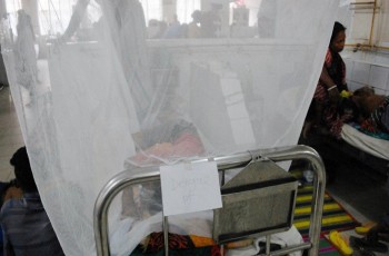 ডেঙ্গুতে মৃত্যু ১৮২ জনে পৌঁছালো