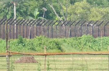 মুজিবনগর সীমান্তে বেপরোয়া চোরাকারবারীরা