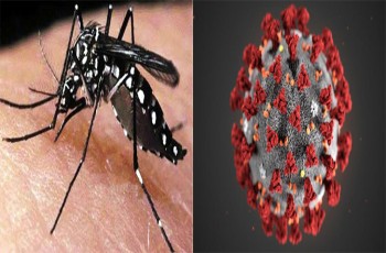 মৃত্যু - করোনা-২ ডেঙ্গু-২