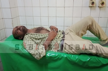 মেহেরপুর পিডিবি অফিসের গাছ চুরিতে বাধা দেওয়ায় কর্মকর্তাকে মারধর