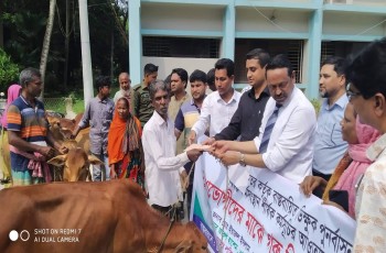 মেহেরপুর সমাজ সেবার গরু বিতরণ