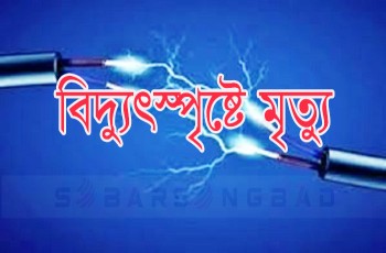 গাংনীতে বিদ্যুৎস্পৃষ্টে ভ্যান চালকের মৃত্যু