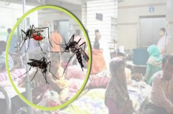 ডেঙ্গুতে মৃত্যু ৪৪৪ জনে পৌঁছালো