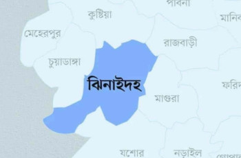শৈলকুপায় ছোট ভাইয়ের লাঠির আঘাতে বড় ভাই নিহত