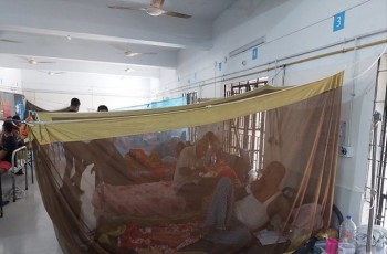 ডেঙ্গুতে আরও ৩ মৃত্যু, নতুন রোগী ৮৯৯