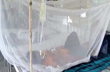 চট্টগ্রামে ২৪ ঘণ্টায় ৫৫ ডেঙ্গু রোগী শনাক্ত