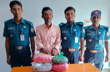 মেহেরপুরে গাঁজাসহ মাদক কারবারি আটক